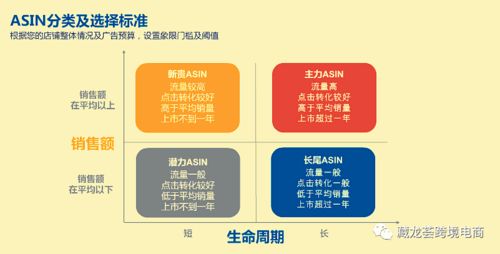 亚马逊卖家进阶指南 精通产品分类管理与工程管理服务